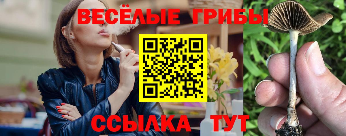 Галлюциногенные грибы GOLDEN TEACHER Алушта
